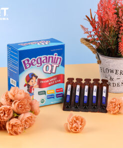 THỰC PHẨM BẢO VỆ SỨC KHỎE BEGANIN QT