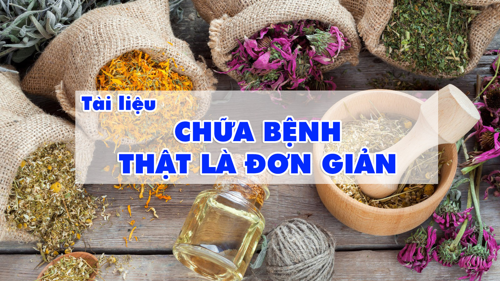 Nội dung của cuốn sách tập trung vào điều gì?
