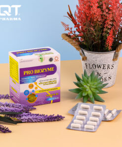THỰC PHẨM BẢO VỆ SỨC KHỎE PROBIOZYME