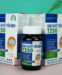 THỰC PHẨM BẢO VỆ SỨC KHỎE HOẠT HUYẾT TIỀN ĐÌNH T250