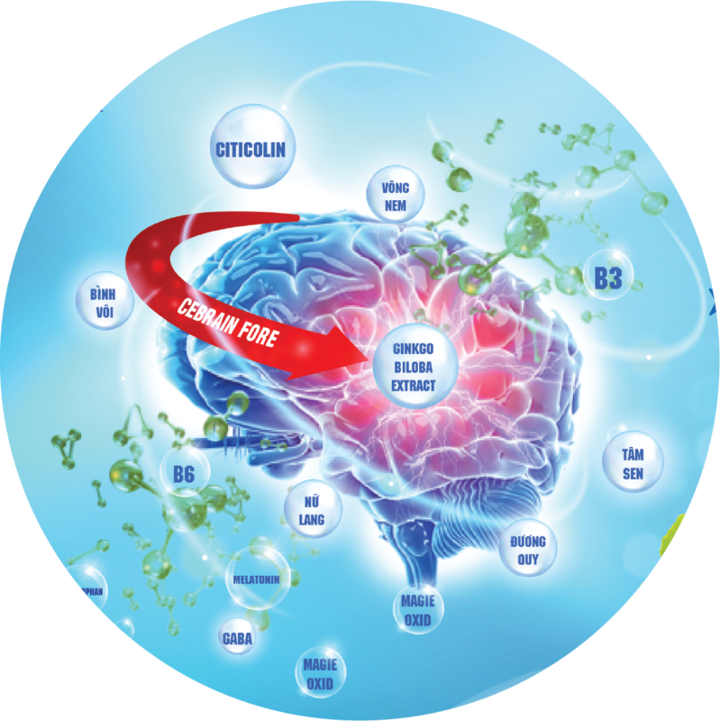 QTPharma Dược Quyết Thắng