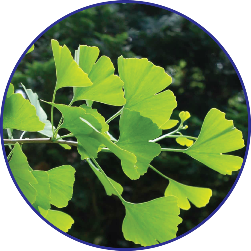 QTPharma Dược Quyết Thắng