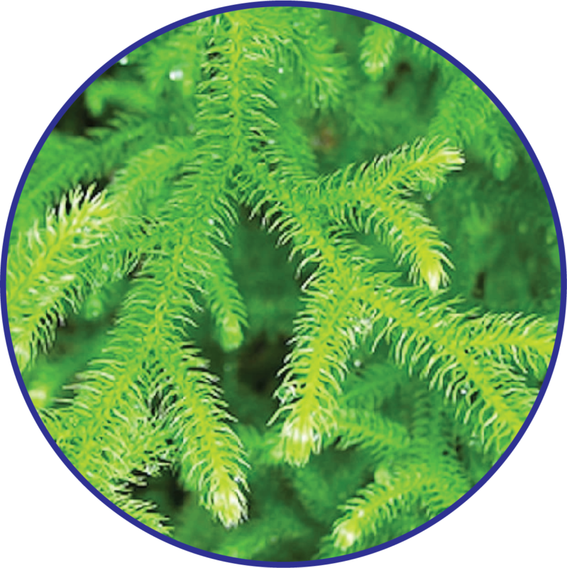 QTPharma Dược Quyết Thắng