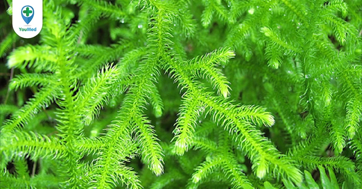 QTPharma Dược Quyết Thắng