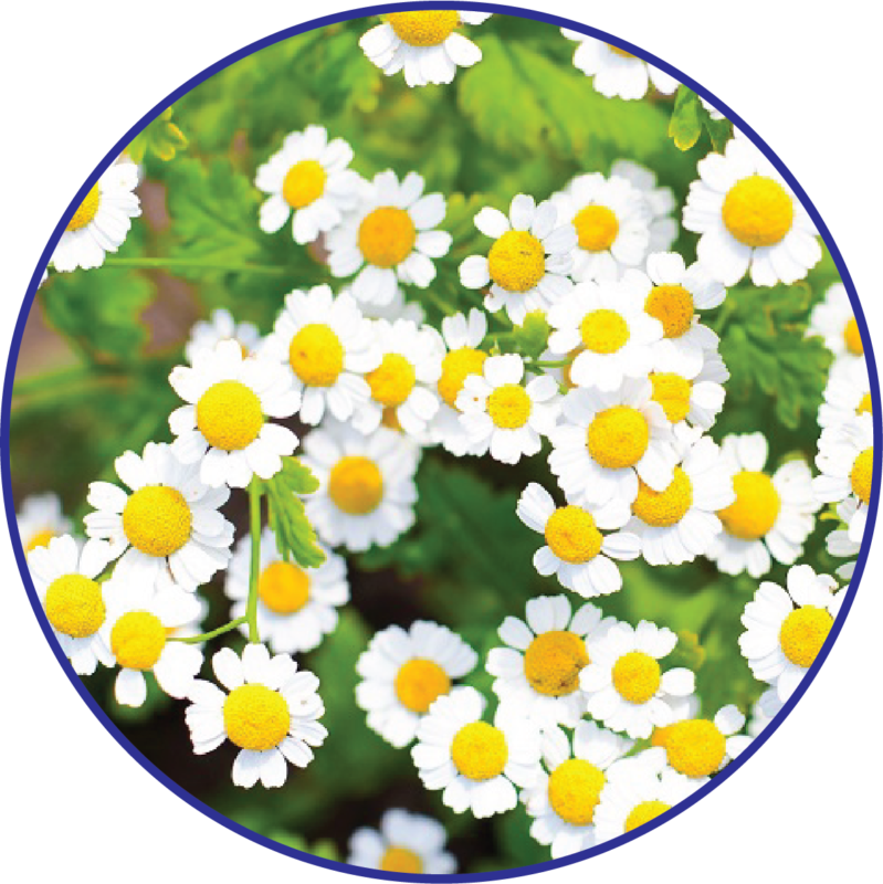 QTPharma Dược Quyết Thắng