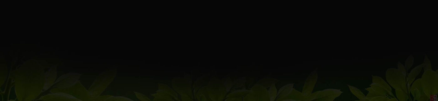 QTPharma Dược Quyết Thắng