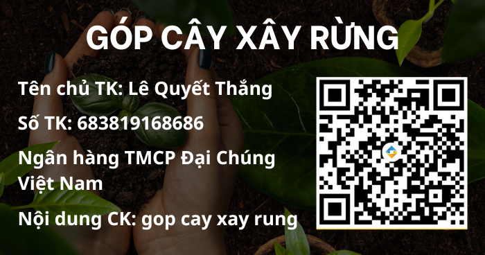 QTPharma Dược Quyết Thắng
